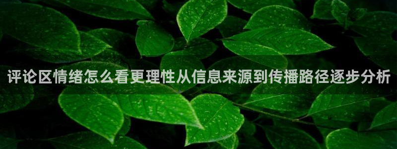吃瓜网在线：评论区情绪怎么看更理性从信息来源到传播路径逐步分析