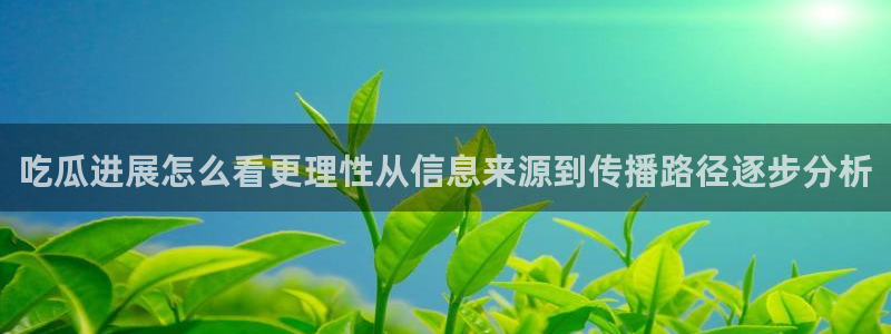 吃瓜黑料在线:吃瓜进展怎么看更理性从信息来源到传播路径逐步分析