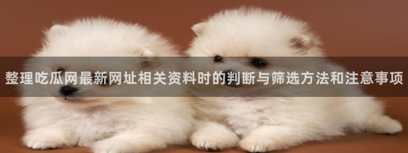 17吃瓜网
