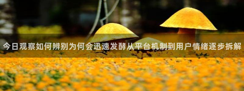 黑料吃瓜视频