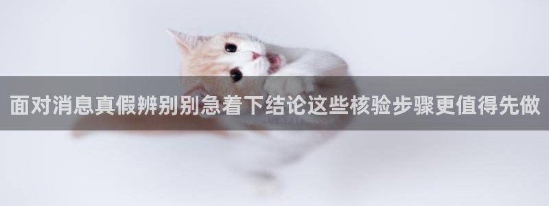 黑料吃瓜网站:面对消息真假辨别别急着下结论这些核验步骤更值得先做