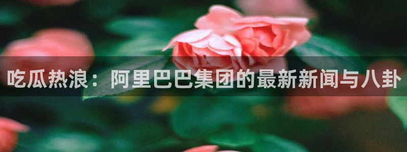 51吃瓜网今日吃瓜:吃瓜热浪:阿里巴巴集团的最新新闻与八卦