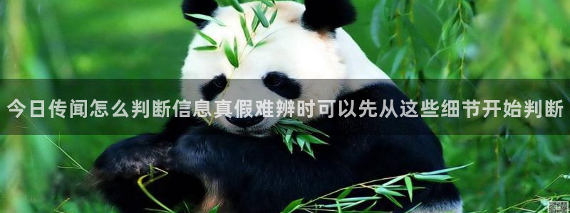 国产吃瓜在线：今日传闻怎么判断信息真假难辨时可以先从这些细节开始判断