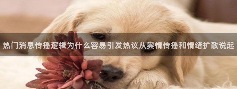 51吃瓜最新：热门消息传播逻辑为什么容易引发热议从舆情传播和情绪扩散说起