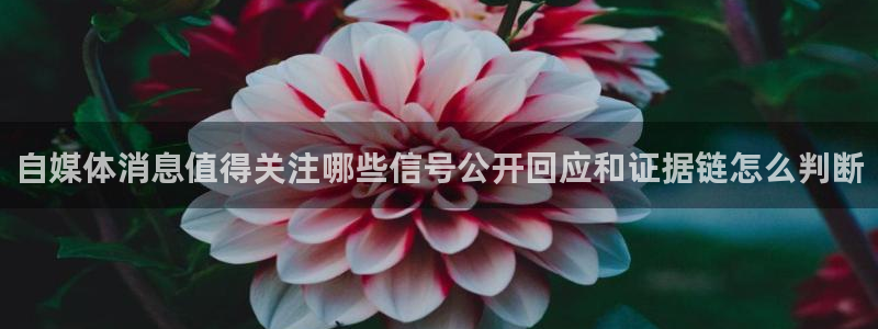 吃瓜直播：自媒体消息值得关注哪些信号公开回应和证据链怎么判断
